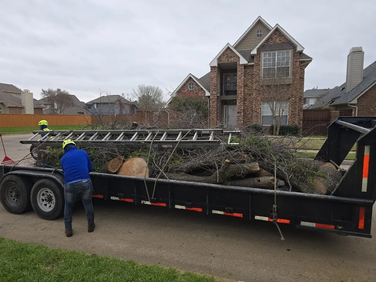Expert Tree Pest Control with proper safety equipment in Blue Grass